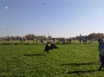 10102010450.jpg