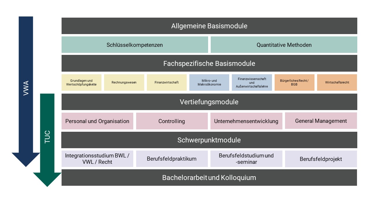 Überblick über die Module des Bachelor Management