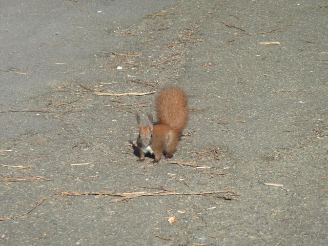 640x480/p1090272.jpg