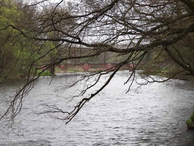 640x480/26mulde.jpg