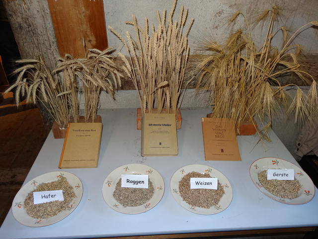 640x480/dsc02899.jpg