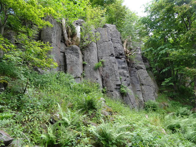 640x480/dsc04238.jpg