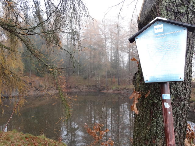640x480/dsc07449.jpg