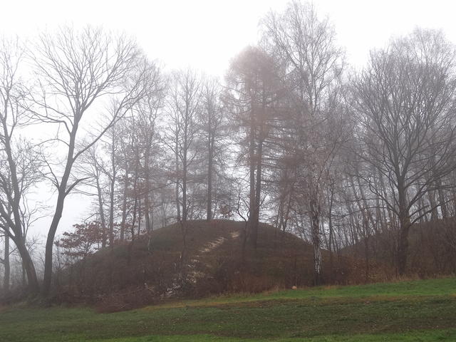 640x480/dsc07468.jpg
