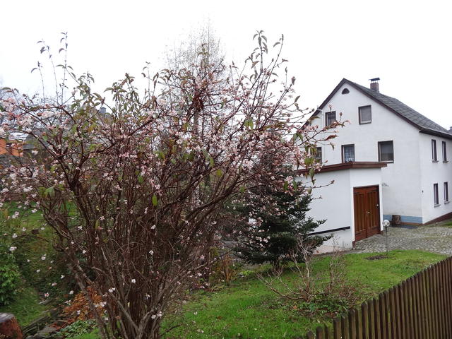 640x480/dsc07472.jpg