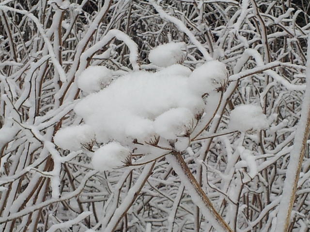 640x480/20140124_114423.jpg