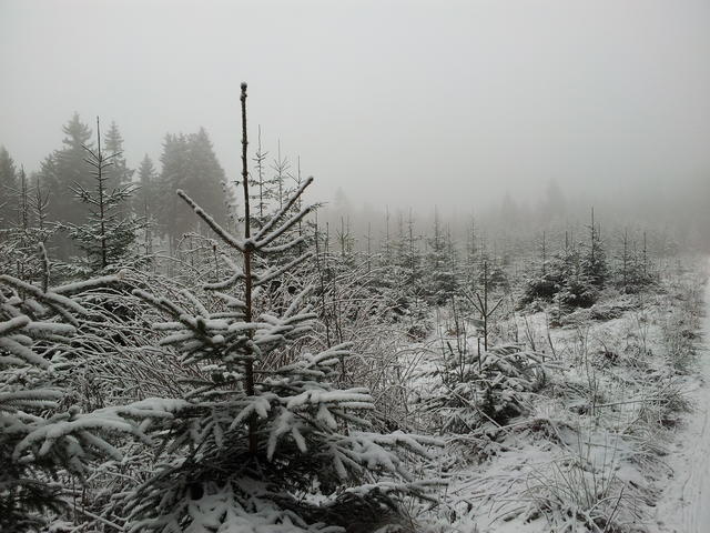 640x480/20140124_144417.jpg