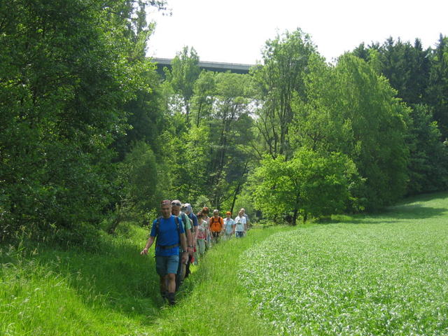 640x480/IMG_2023.JPG