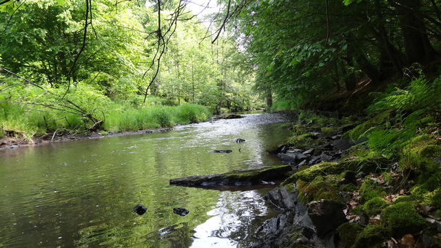640x480/dsc00585.jpg