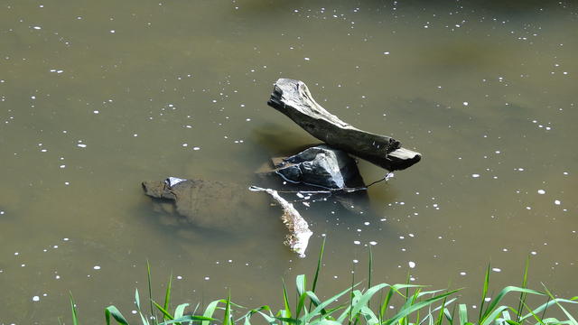 640x480/dsc00593.jpg