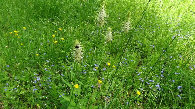640x480/dsc00599.jpg
