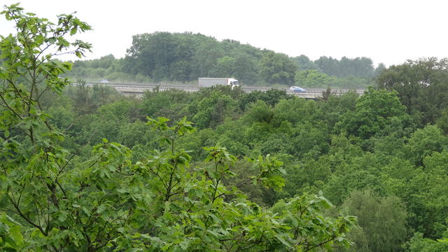 640x480/dsc00611.jpg