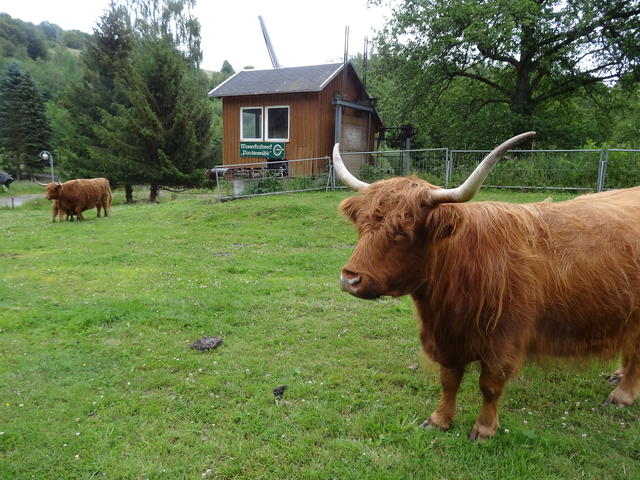 640x480/dsc01574.jpg