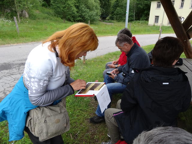 640x480/dsc01575.jpg
