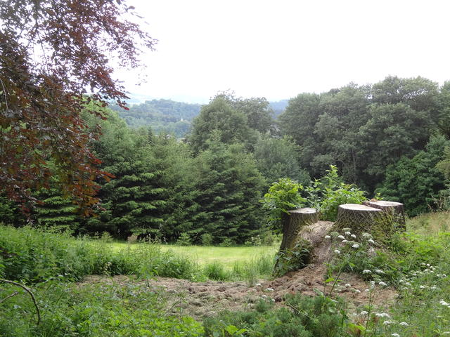 640x480/dsc01594.jpg