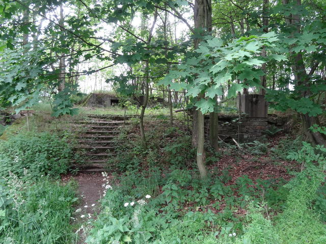 640x480/dsc01597.jpg