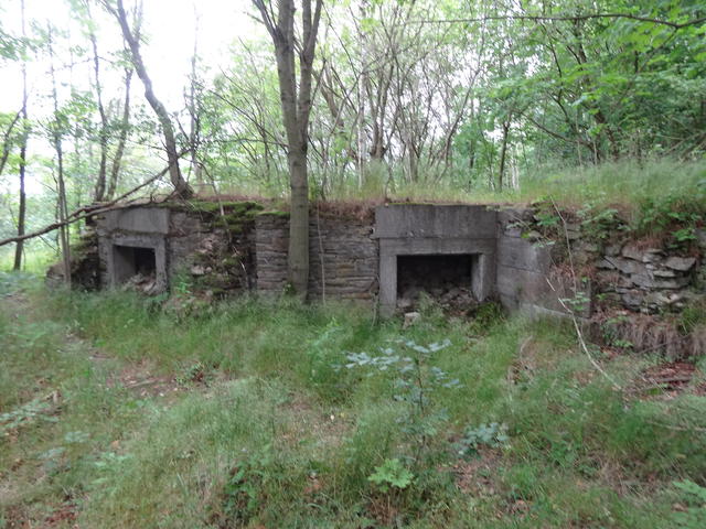 640x480/dsc01598.jpg