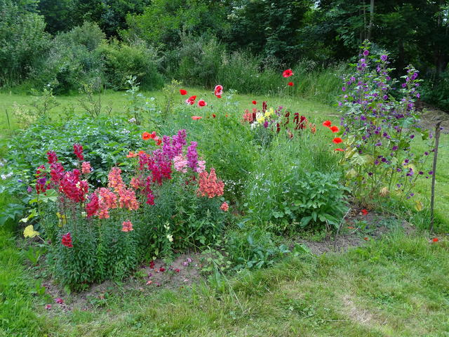 640x480/dsc01603.jpg