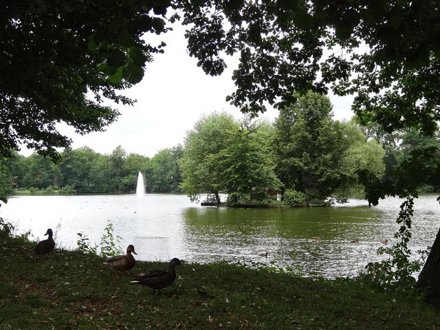 640x480/dsc01904.jpg
