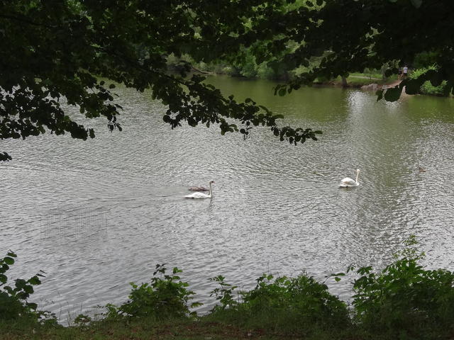 640x480/dsc01906.jpg