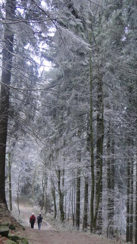 640x480/dsc09868.jpg