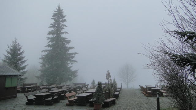 640x480/dsc09877.jpg