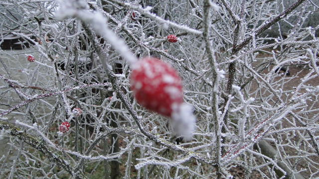 640x480/dsc09878.jpg