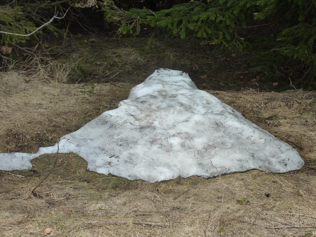 640x480/p1230906.jpg