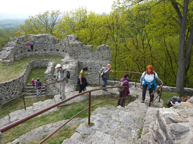 640x480/p1230946.jpg