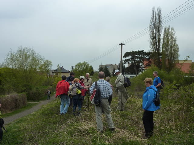 640x480/p1230967.jpg