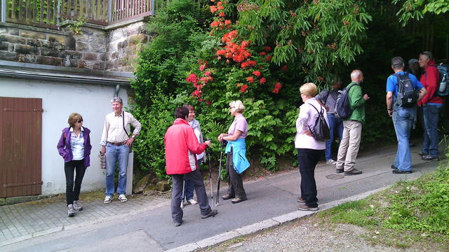 640x480/img_20150529_095246.jpg