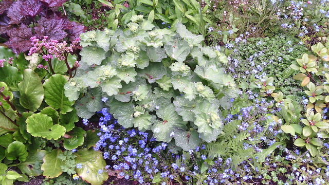640x480/img_20150529_095827.jpg