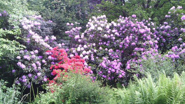 640x480/img_20150529_101854.jpg