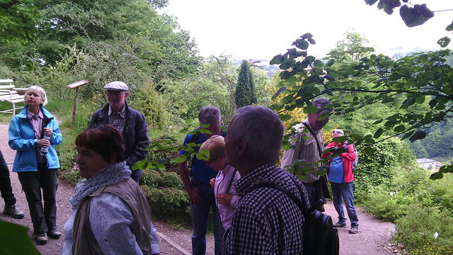 640x480/img_20150529_103437.jpg