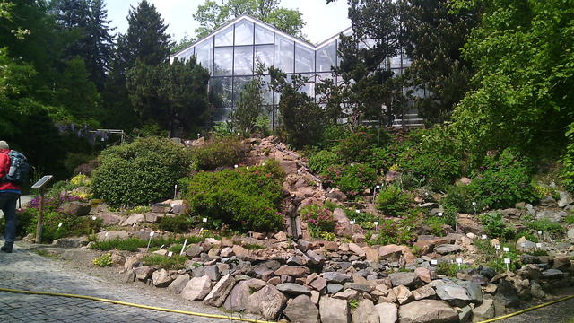 640x480/img_20150529_103936.jpg