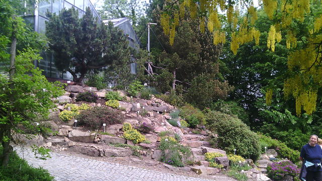 640x480/img_20150529_104059.jpg