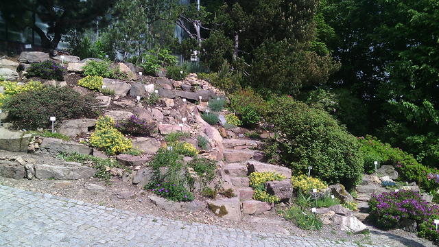 640x480/img_20150529_104111.jpg