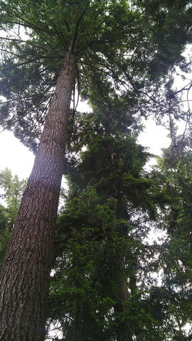 640x480/img_20150529_112332.jpg
