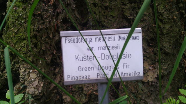 640x480/img_20150529_112352.jpg