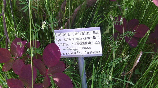 640x480/img_20150529_115123.jpg