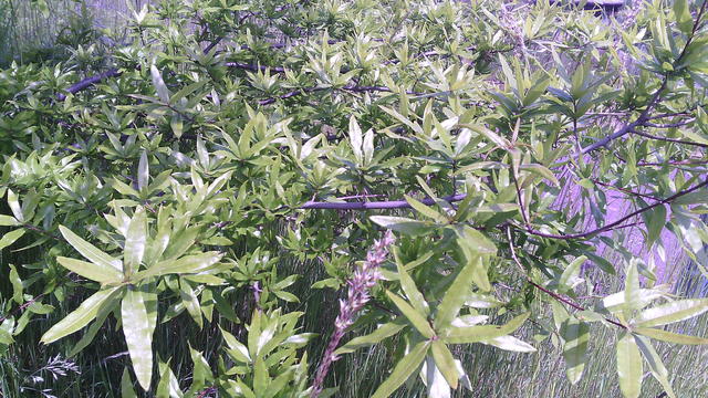 640x480/img_20150529_115319.jpg