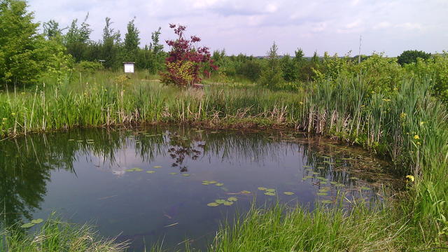 640x480/img_20150529_115458.jpg