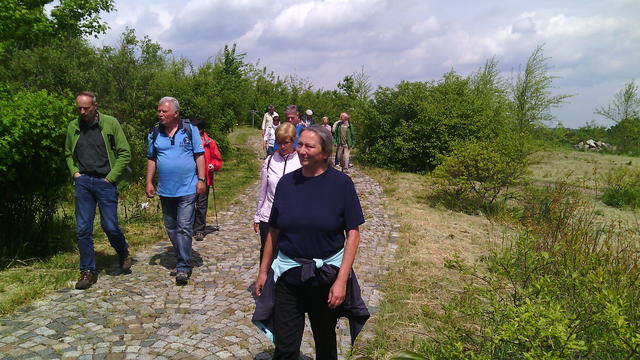 640x480/img_20150529_115623.jpg