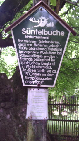 640x480/img_20150529_142004.jpg