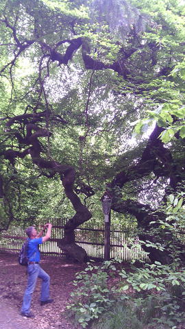 640x480/img_20150529_142042.jpg