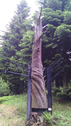 640x480/img_20150529_154115.jpg