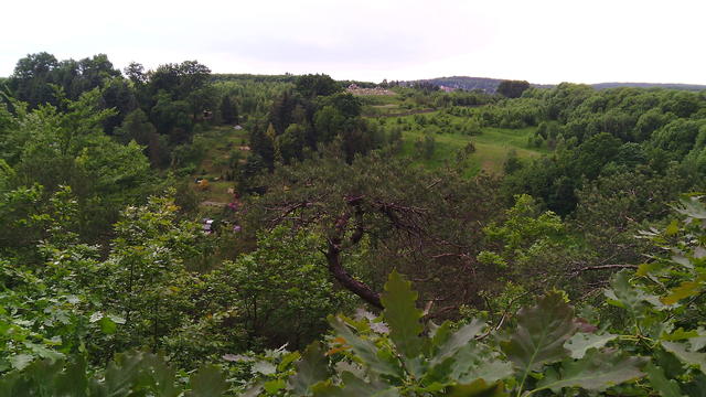 640x480/img_20150529_154752.jpg