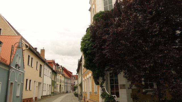 640x480/dsc01607.jpg