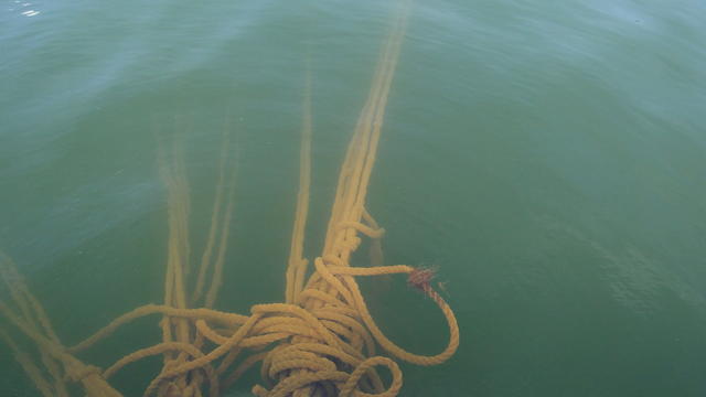 640x480/dsc01633.jpg