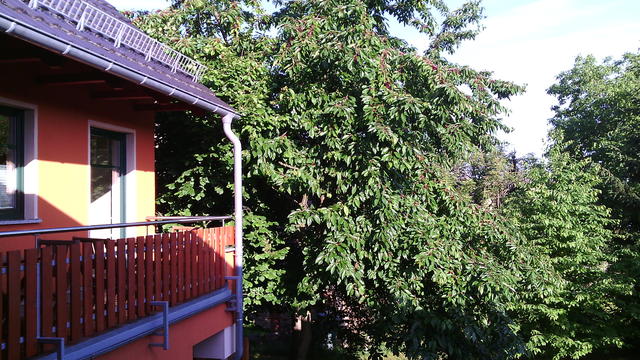 640x480/img_20150616_071203.jpg